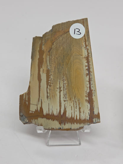 Slab - Owyhee Jasper