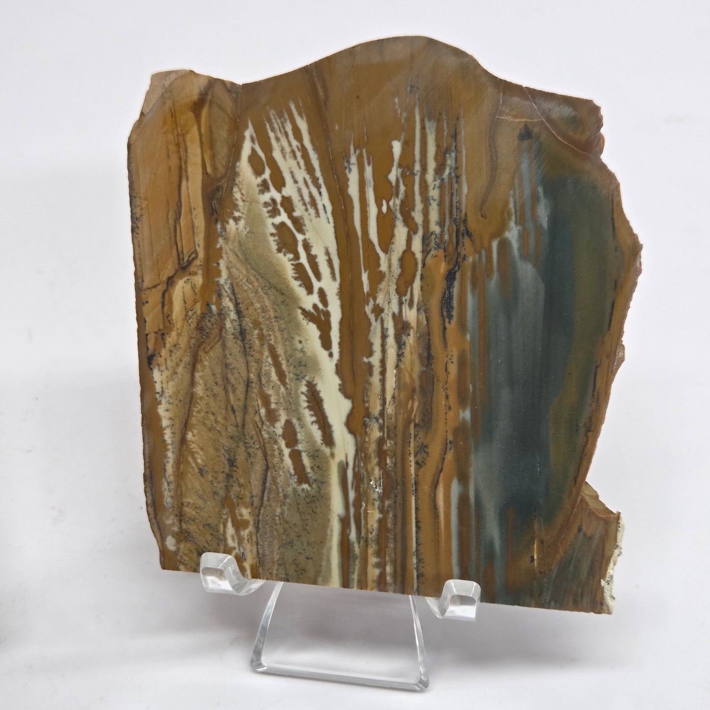 Slab - Owyhee Jasper