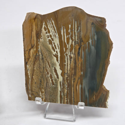 Slab - Owyhee Jasper