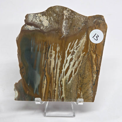 Slab - Owyhee Jasper
