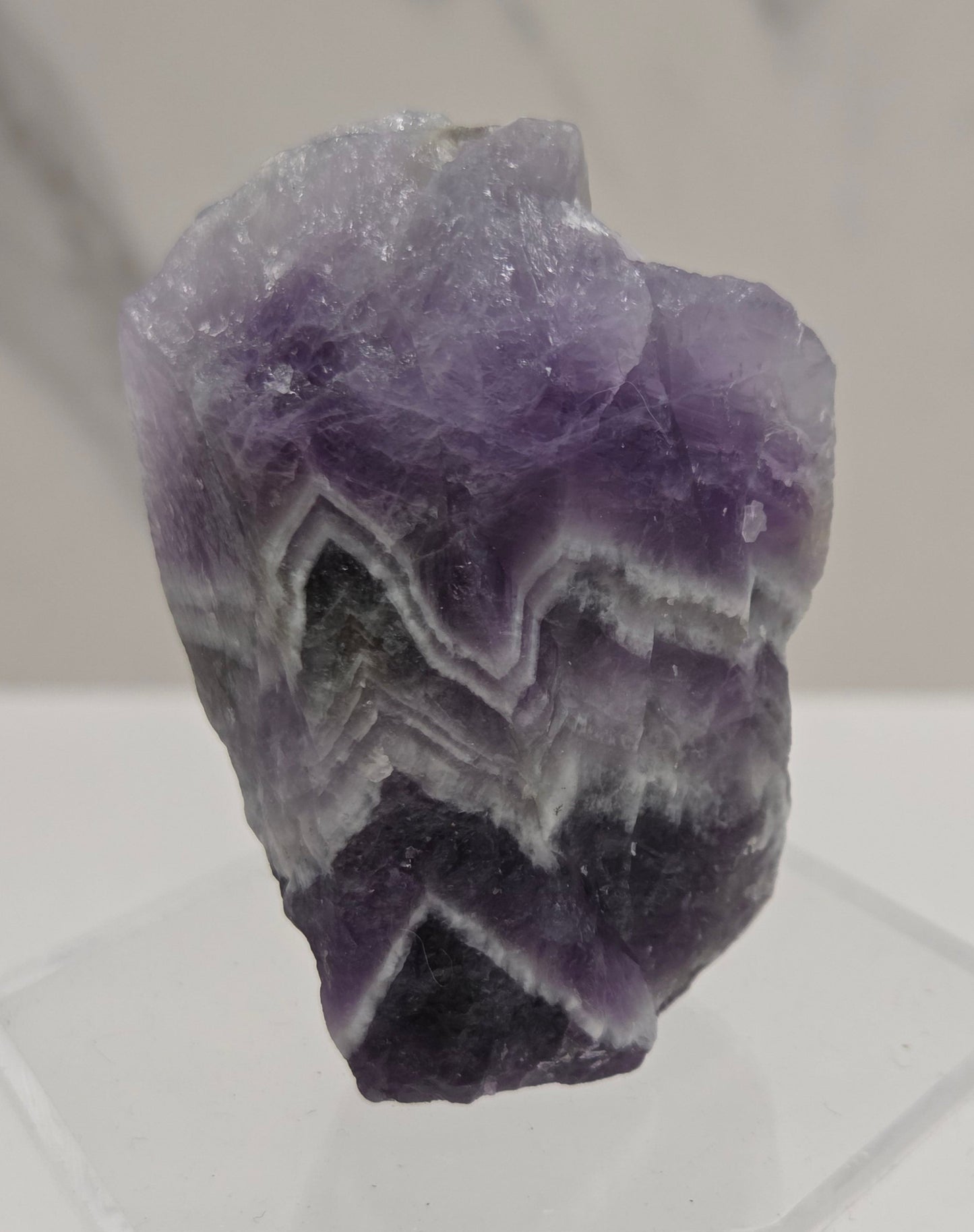 Hedgie - Dream Amethyst