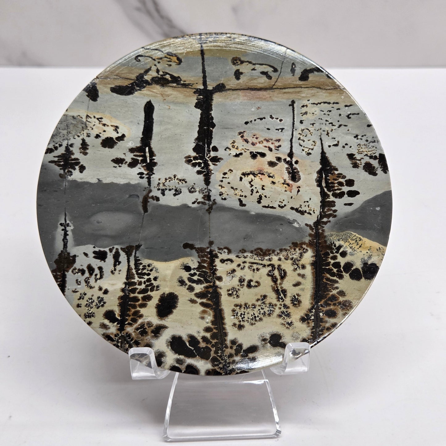 Picture Jasper large round/trivet