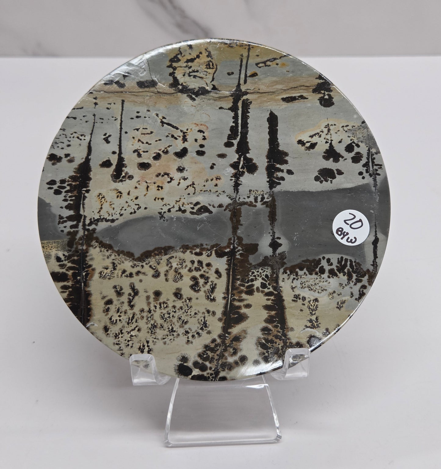 Picture Jasper large round/trivet