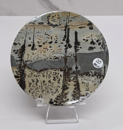 Picture Jasper large round/trivet