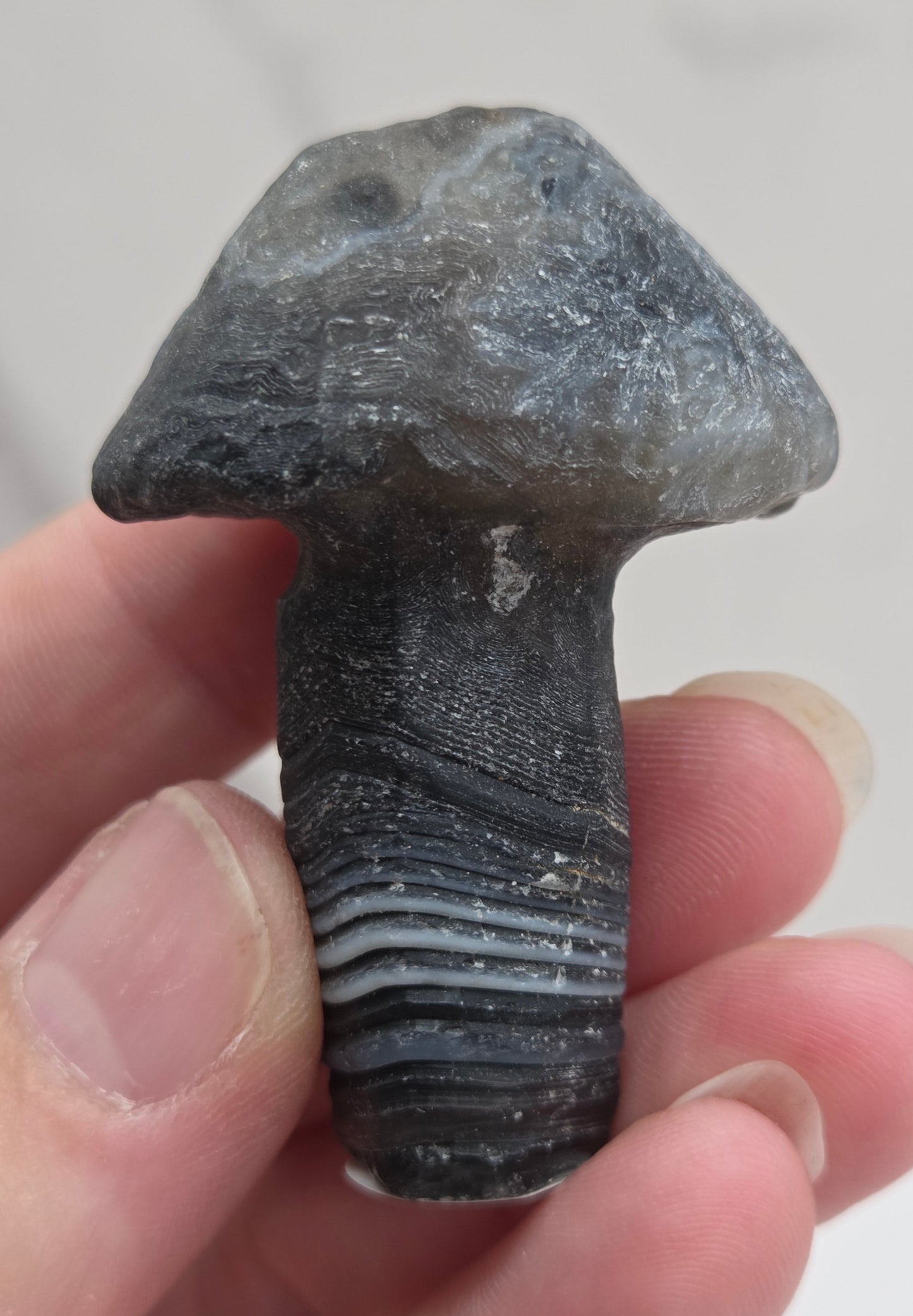 Gobi Agate mushroom carvings