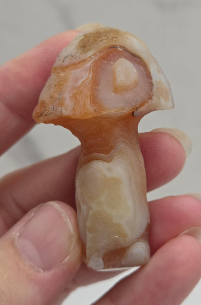 Gobi Agate mushroom carvings