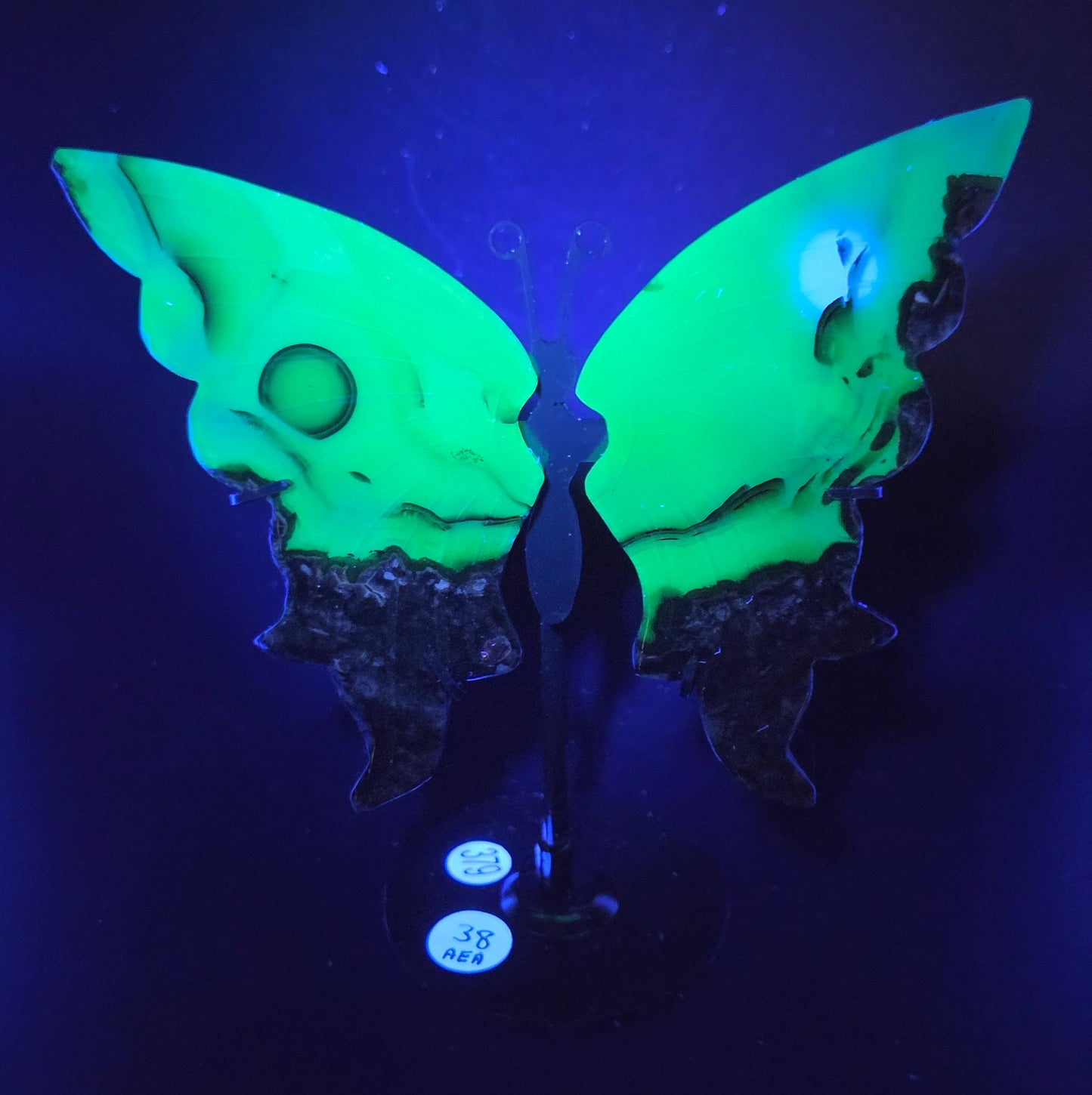 Wings - Volcano Agate butterfly
