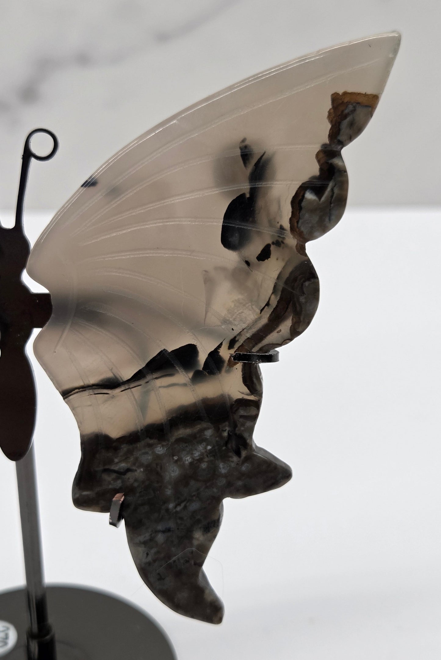 Wings - Volcano Agate butterfly