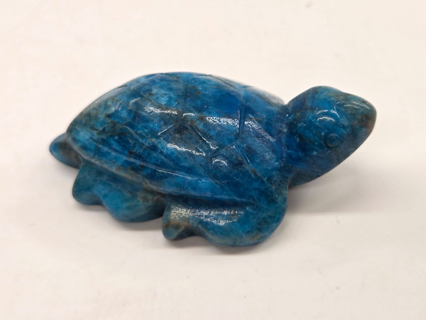 Sea turtle - Blue Apatite (S)