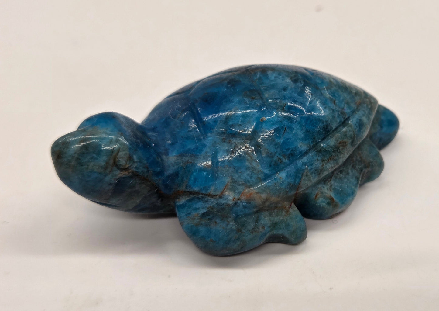 Sea turtle - Blue Apatite (S)