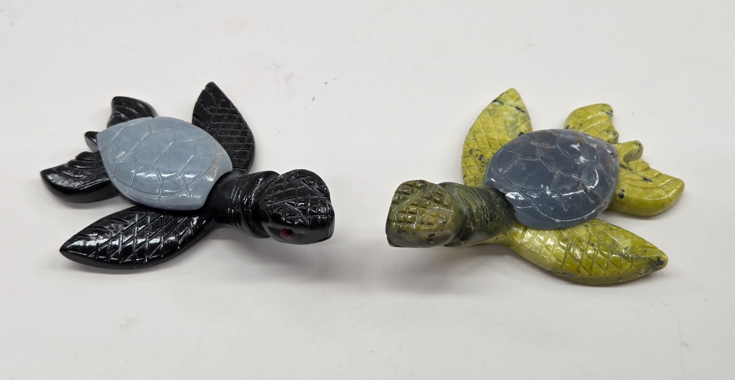 Jade sea turtle (Peru)