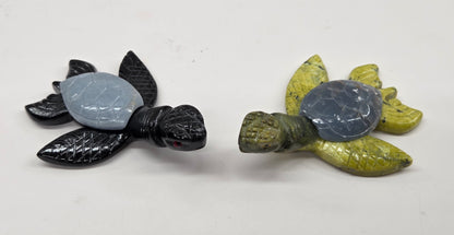 Jade sea turtle (Peru)