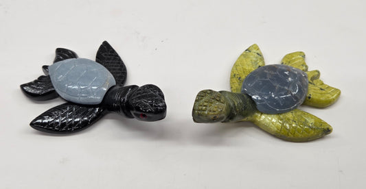 Jade sea turtle (Peru)