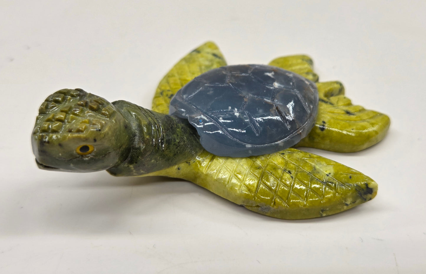 Jade sea turtle (Peru)