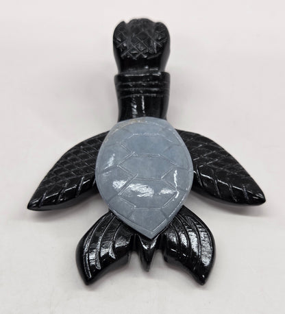 Jade sea turtle (Peru)