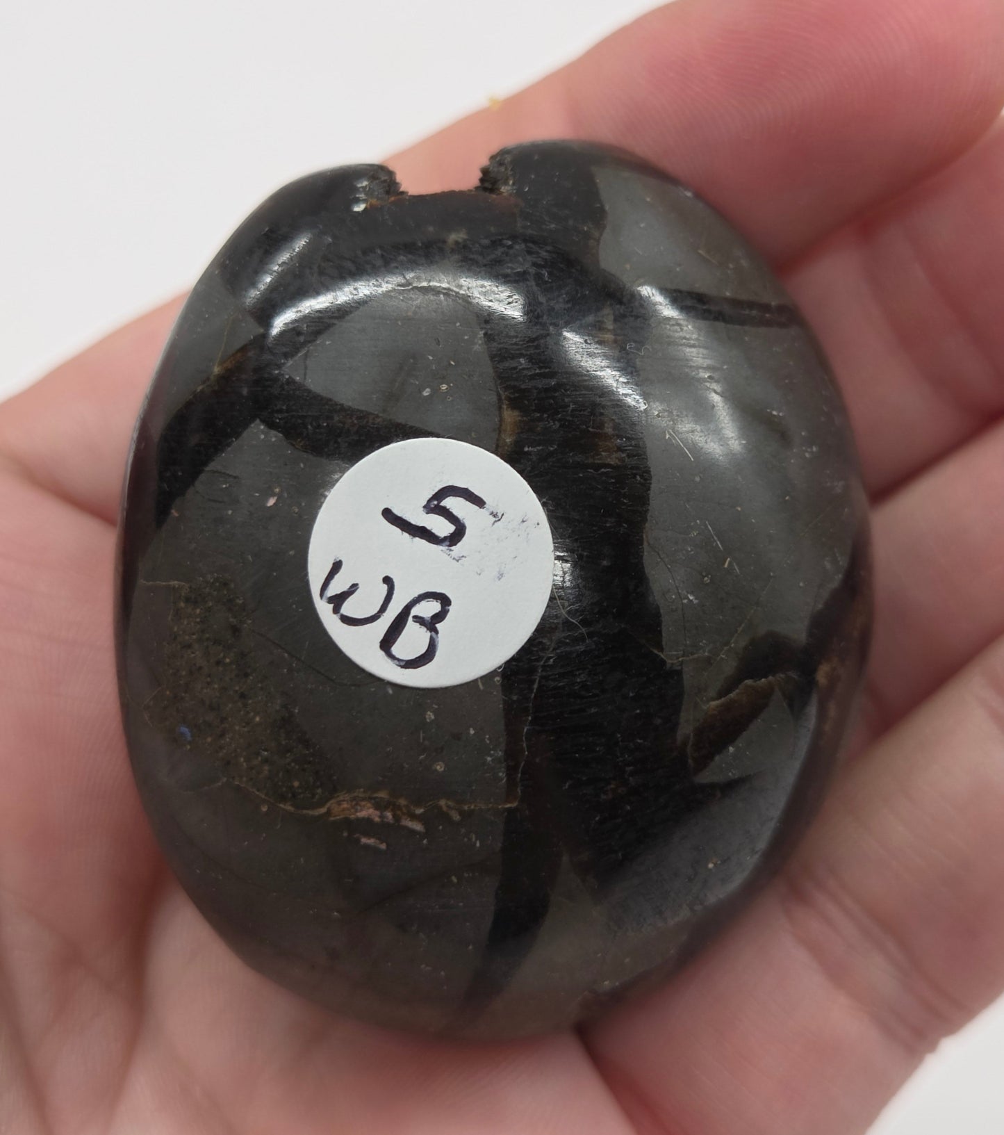 Septarian palm/freeform