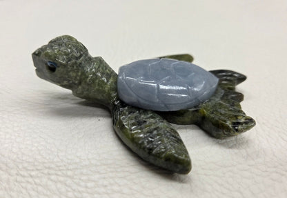 Jade sea turtle (Peru)