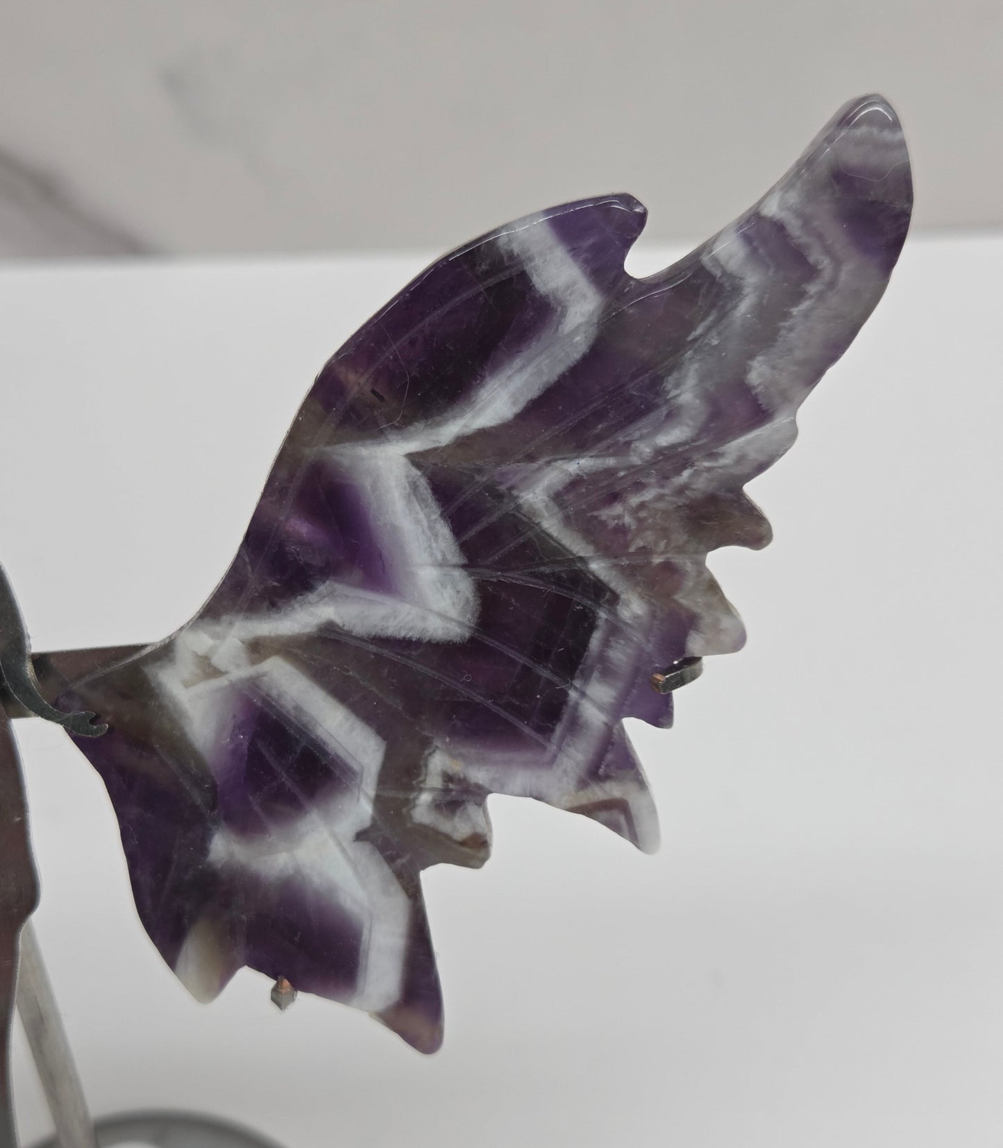 Wings - Dream Amethyst angel