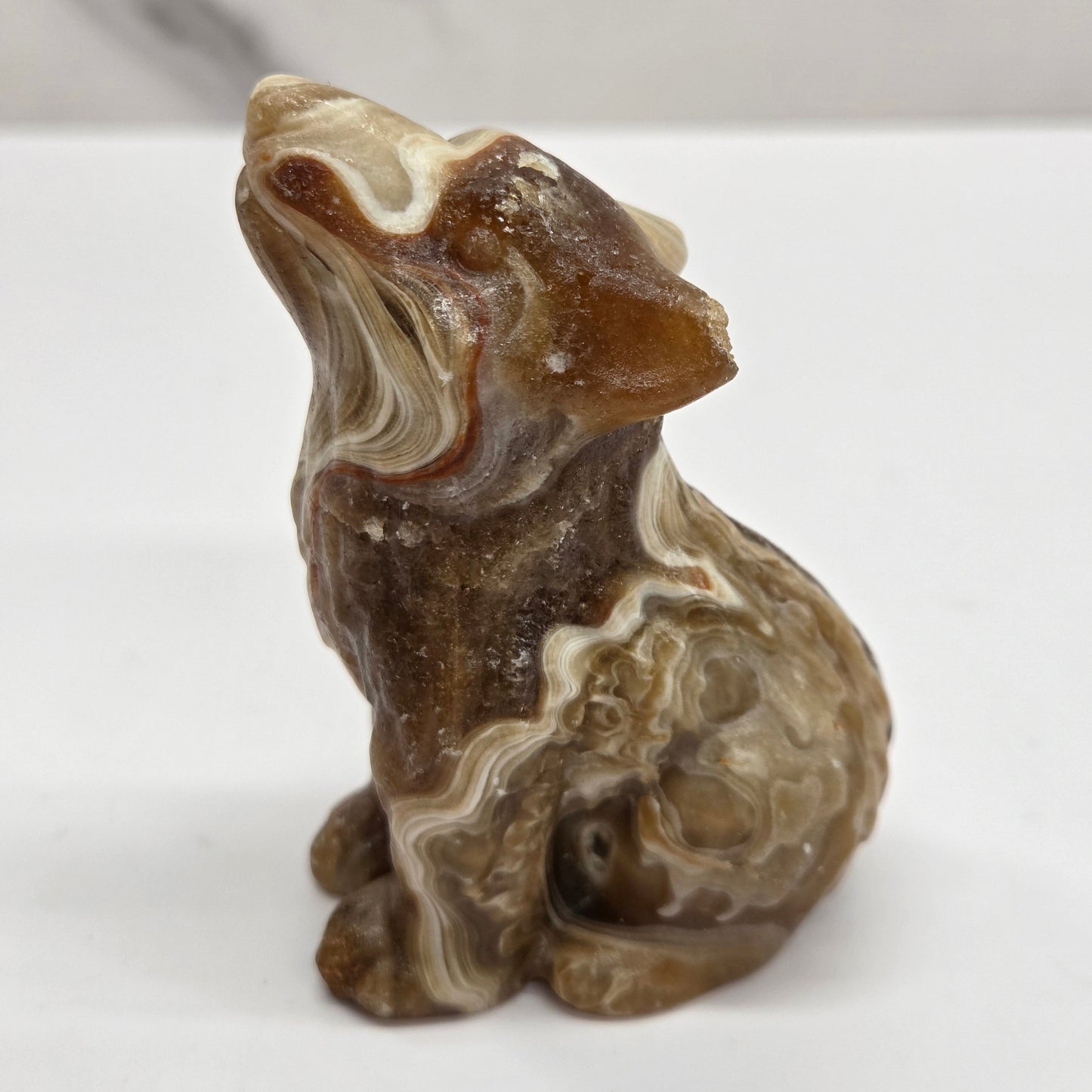 Wolf (M) - Amber Calcite