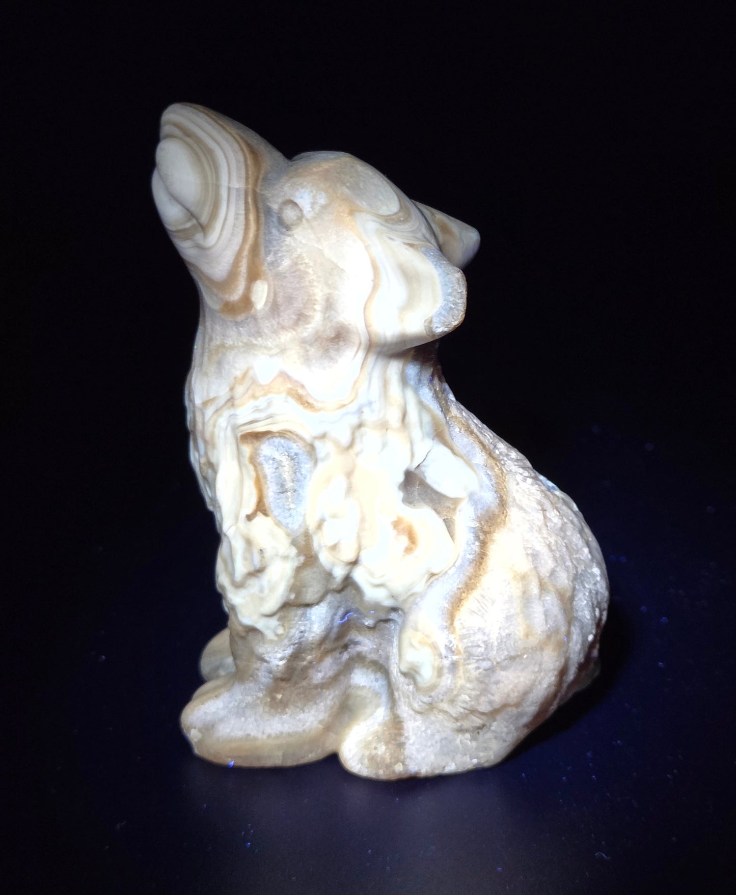 Wolf (M) - Amber Calcite