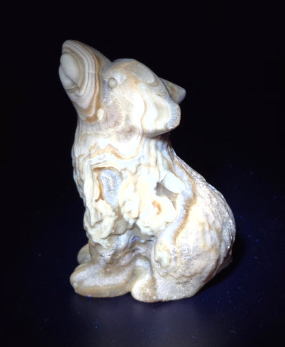Wolf (M) - Amber Calcite