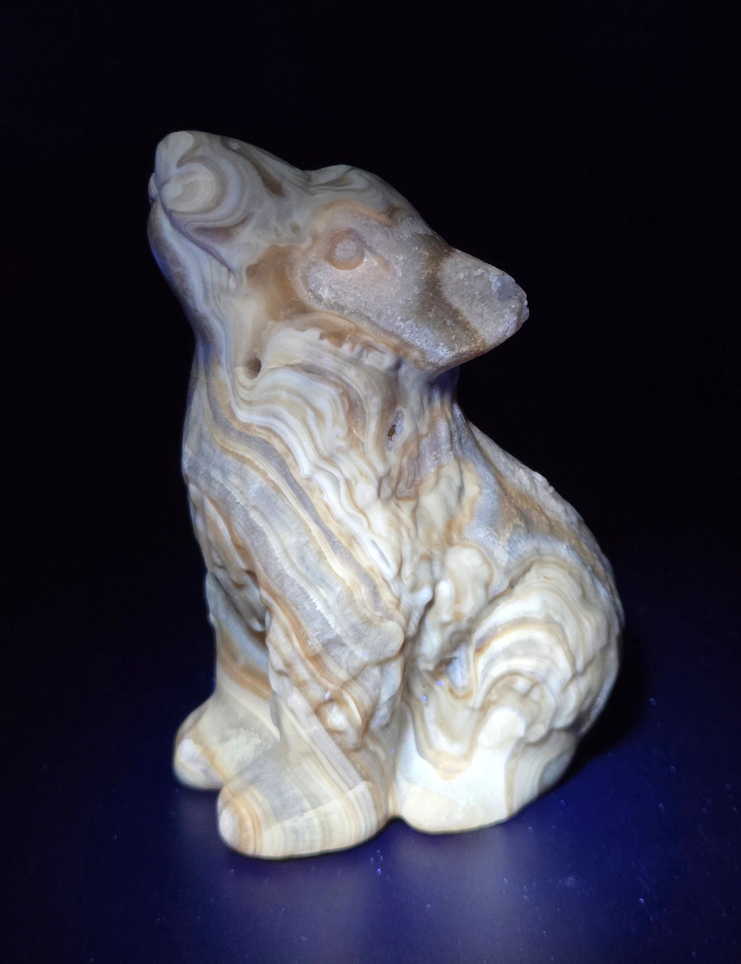 Wolf (M) - Amber Calcite