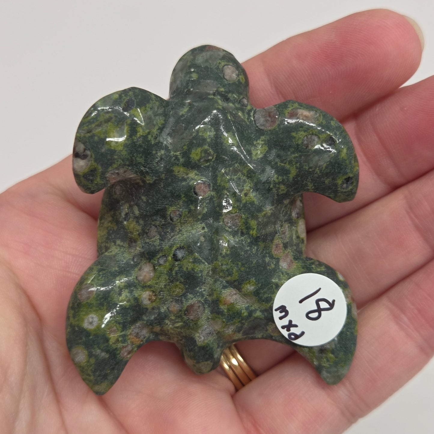 Sea turtle - variety (M)