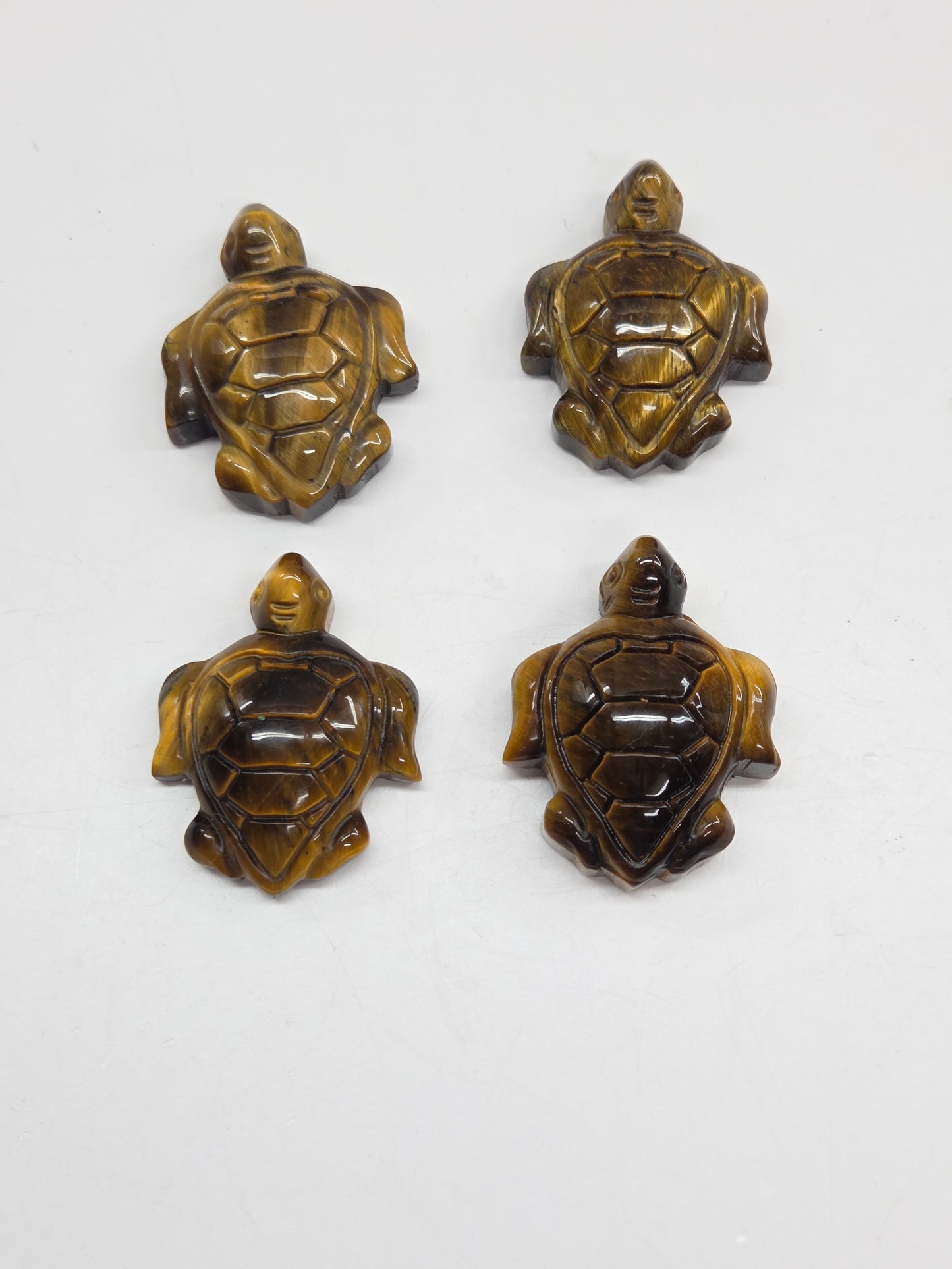 Sea turtle - Tigers Eye