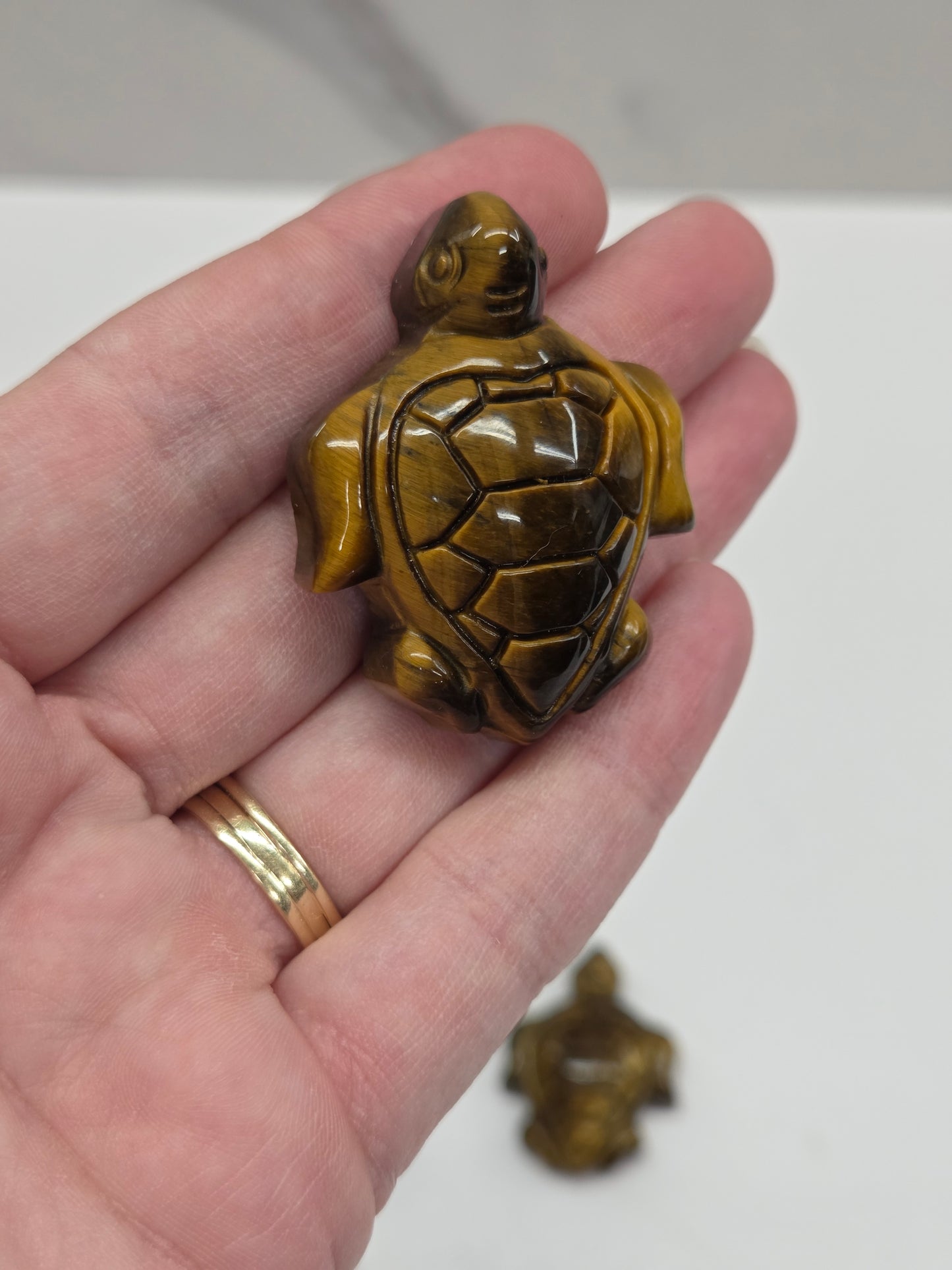 Sea turtle - Tigers Eye