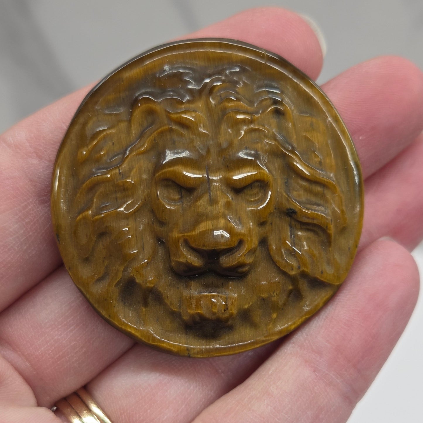 Lion Coin - Tigers Eye