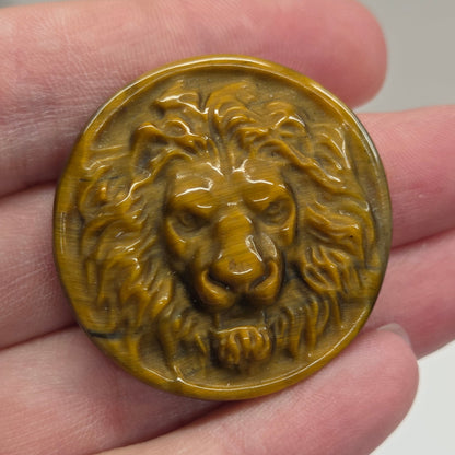Lion Coin - Tigers Eye