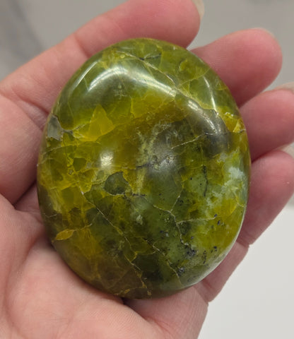 Green Opal palm