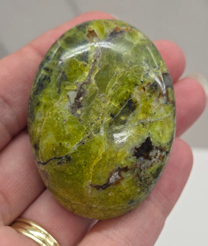 Green Opal palm