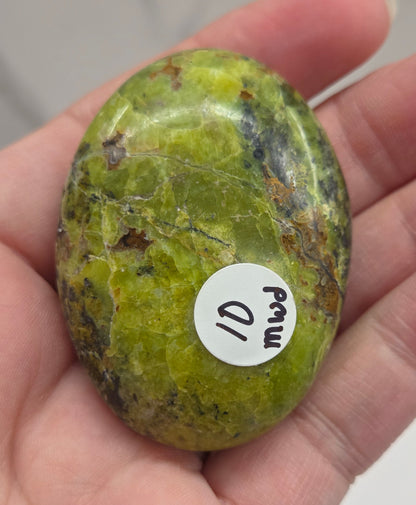 Green Opal palm