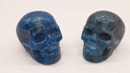 Skull medium - Blue Apatite