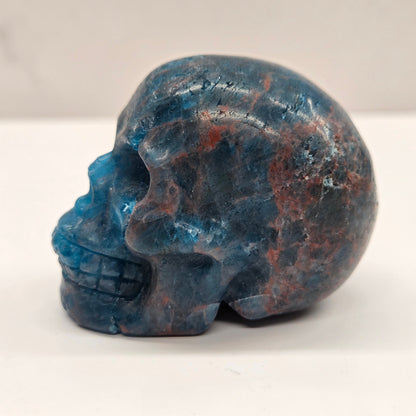 Skull medium - Blue Apatite