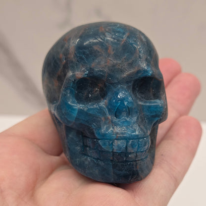 Skull medium - Blue Apatite