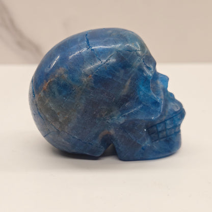 Skull medium - Blue Apatite