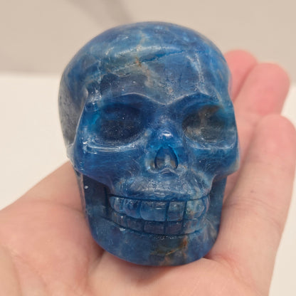 Skull medium - Blue Apatite