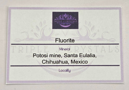Potosi mine Fluorite