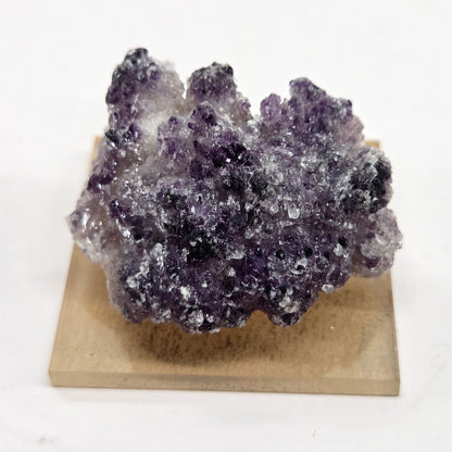 Potosi mine Fluorite