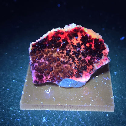 Potosi mine Fluorite