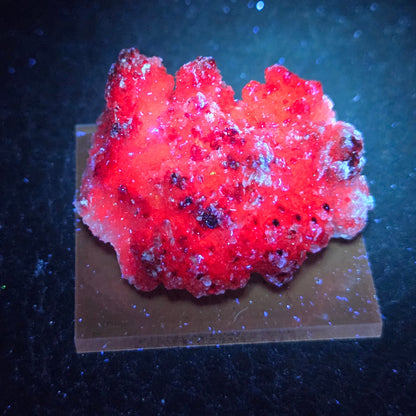 Potosi mine Fluorite