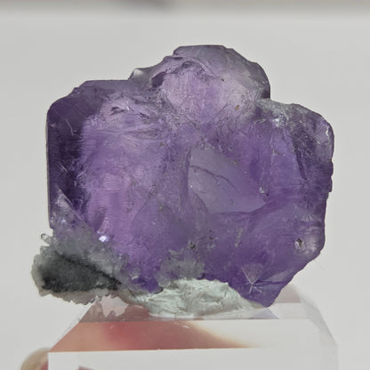 Tanzanite Fluorite - China