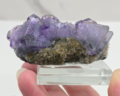 Tanzanite Fluorite - China