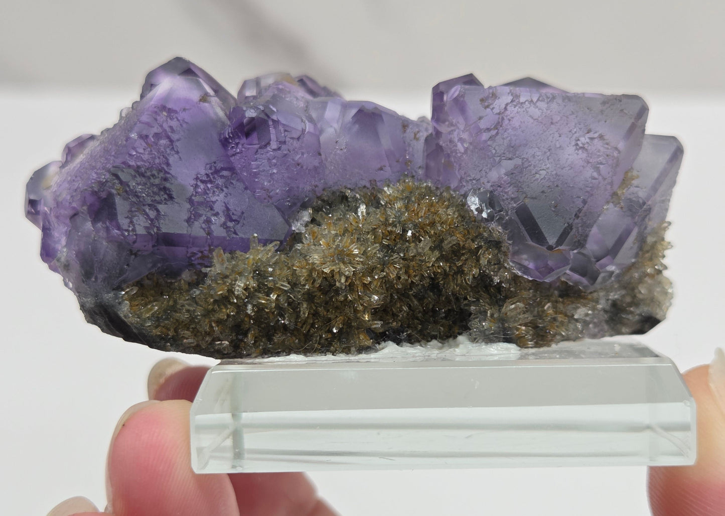 Tanzanite Fluorite - China