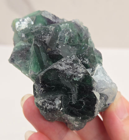 Okorusu Fluorite