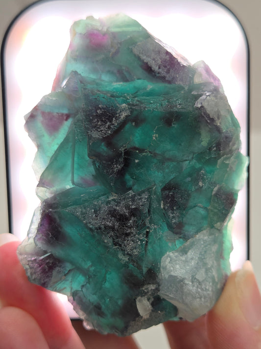 Okorusu Fluorite