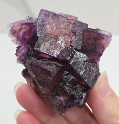 Okorusu Fluorite B pit