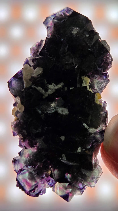 Okorusu Fluorite